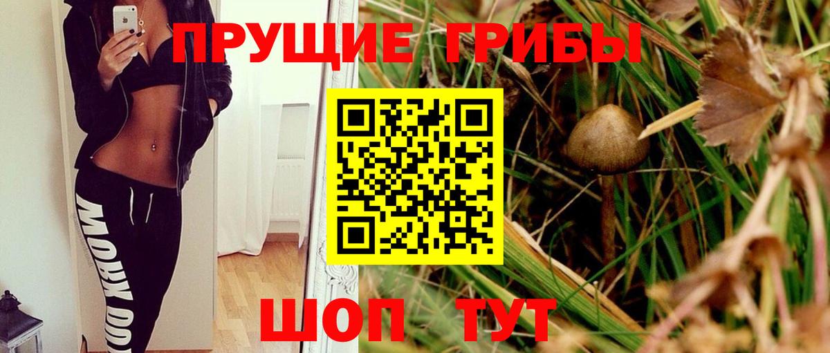 Галлюциногенные грибы прущие грибы  Вход с VPN  Малоярославец  продажа наркотиков  Галлюциногенные грибы Psilocybine cubensis 
