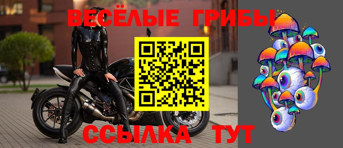 Псилоцибиновые грибы Magic Shrooms Малоярославец